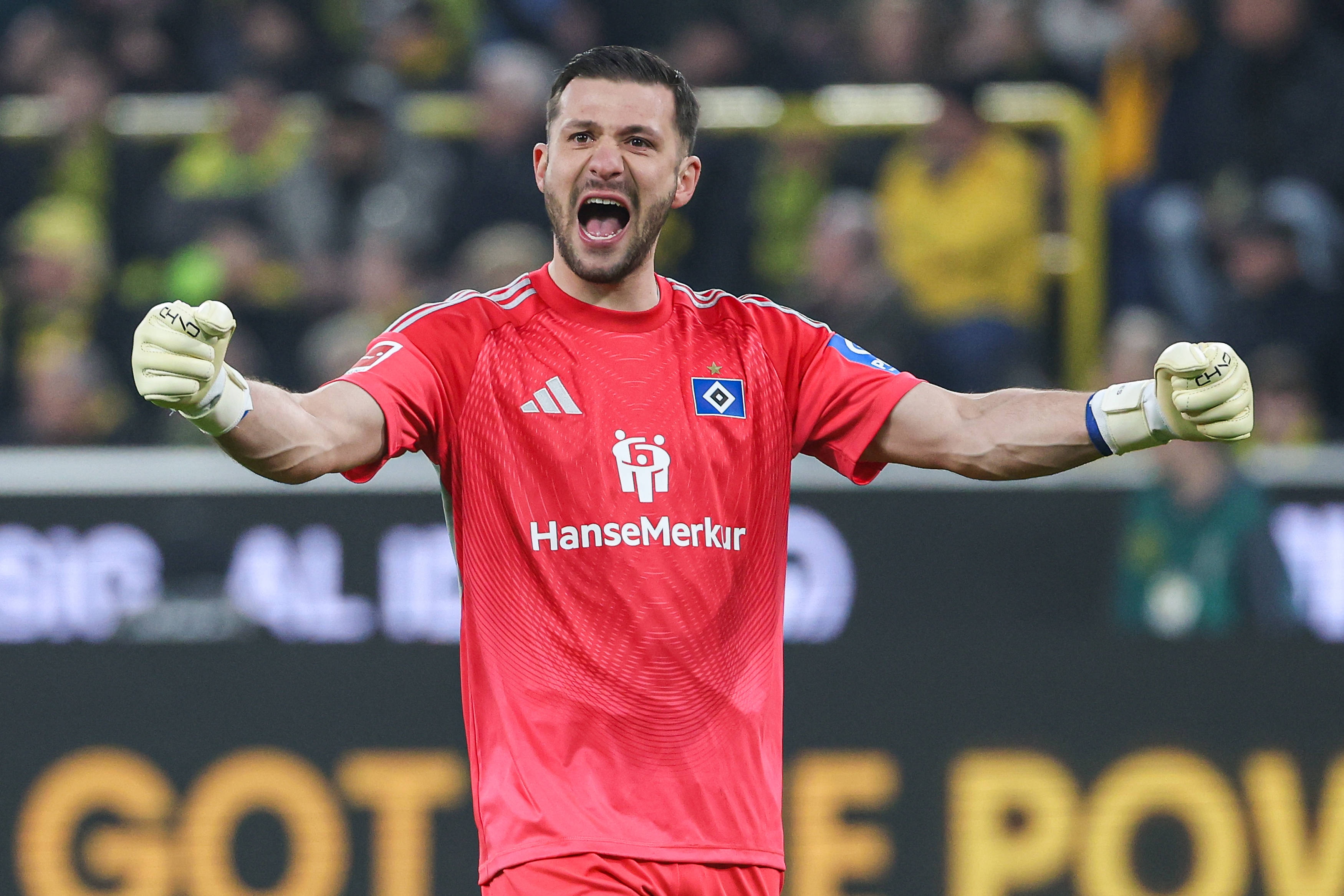 hth官网入口-图片报：为下赛季寻找二号门将，拜仁有意汉堡33岁老将费尔南德斯